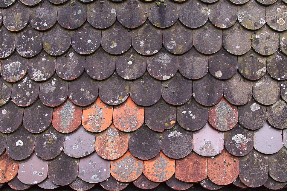 roofer